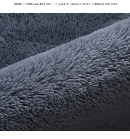 Gray Carpet for Living Room Plush Rug Bed Room Floor Fluffy Mats Anti-slip Home Decor Rugs Soft Velvet Carpets Kids Room Blanket